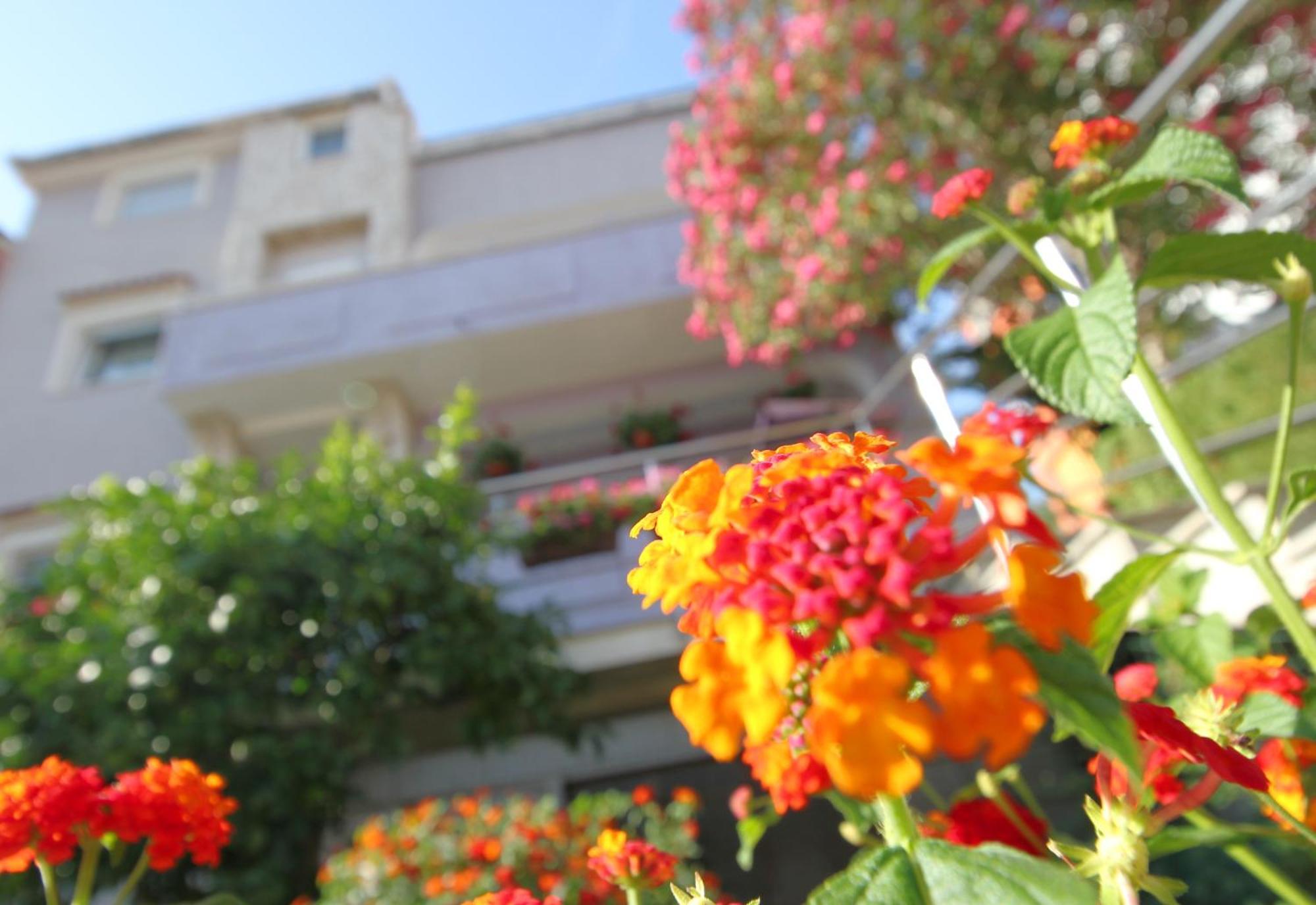 פולה Pejic Apartments מראה חיצוני תמונה